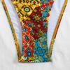 2025 European & American Women's Print Sexy Backless Double Tie Bikini Swimsuit