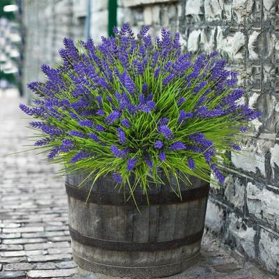 Künstliche Lavendelblüten, violette Pflanzen für die Dekoration des Hausgartens, Blumenarrangement in Vase, pastoraler Stil, simulierte grüne Pflanzen