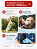 Diapers for dogs of large breeds belts for dogs size M 12 pcs
