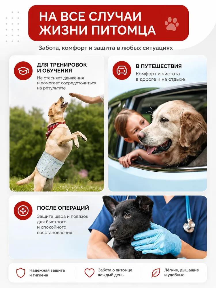 Diapers for dogs of large breeds belts for dogs size M 12 pcs