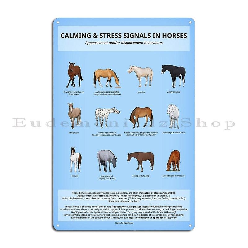 Koňská kosterní anatomie Veterinární nástěnný plakát Průvodce anatomií Kovová deska Dekorace stěny obývacího pokoje nebo hospody Železný plechový znak Plakát