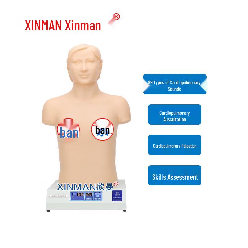 Xinman Cardiopulmonary Auscultation Training Manikin