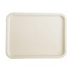 ZISIZ Rectangular Plastic Serving Tray