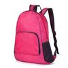 Waterproof Foldable Casual Sports Backpack - Unisex Travel & Student Bag; Logo Customizable