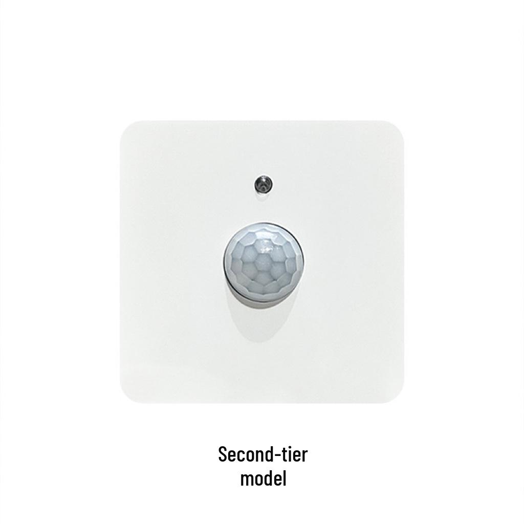 Type 86 Infrared Sound & Light Control with Human Body Sensor 220V Corridor Delay Switch