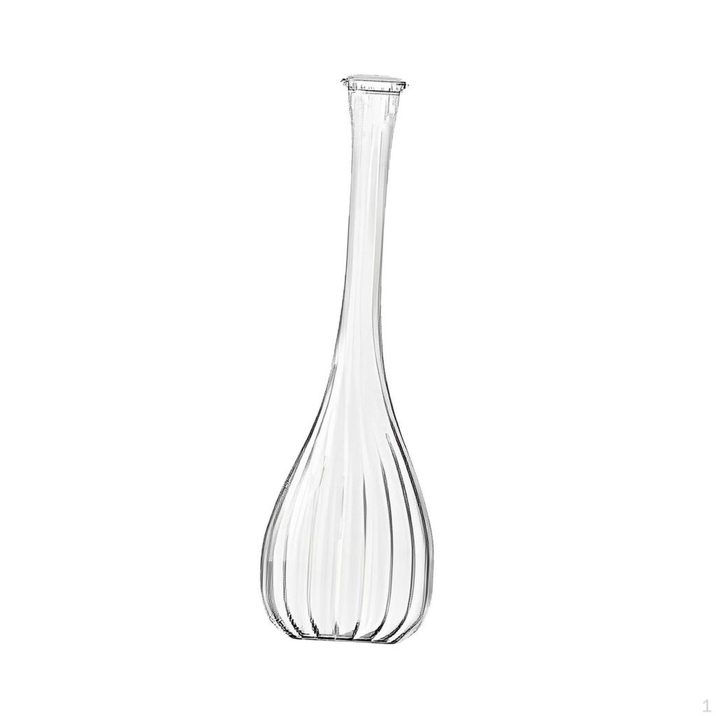 Elegant Glass Vase for Plant Propagation And Floral Display