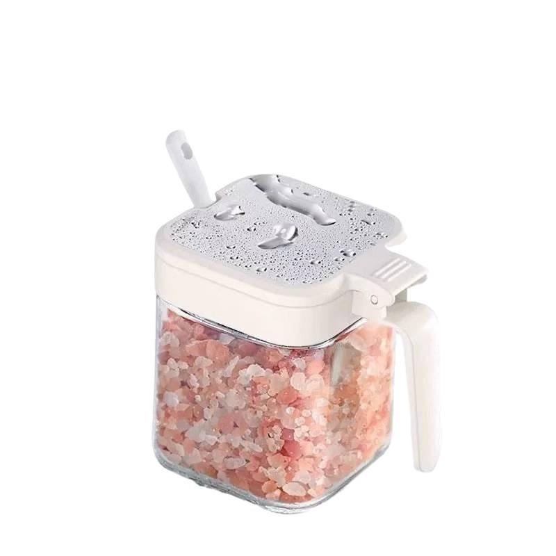 Glass Condiment Jars & Seasoning Bottles Set with Storage Box and Salt Shaker