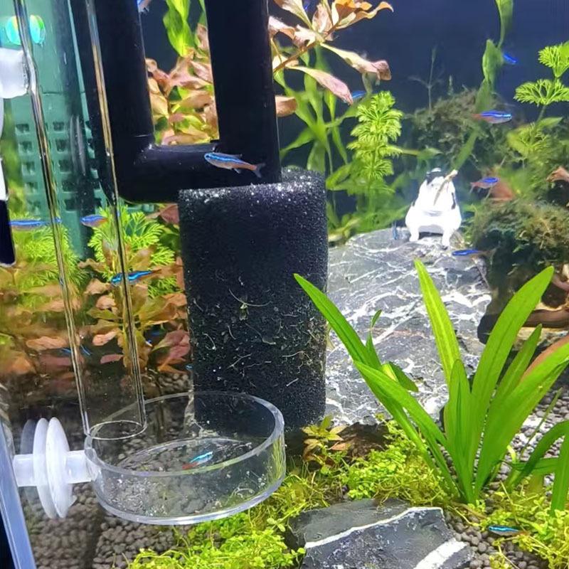 Aquariumfilter Einlass Schutzwatteabdeckung für Garnelenzucht