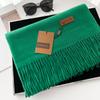 VISROVER New 20 Colors Woman Winter Scarf Fashion Female Shawls Cashmere Handfeeling Winter Wraps Solid Color Winter Hijab Gift