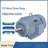 Xiaoying YE3 Three-Phase Asynchronous Motor