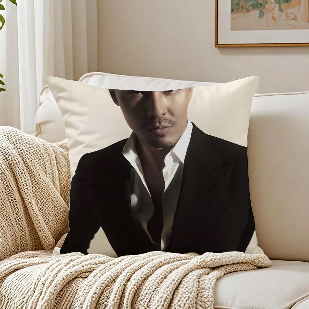 LLewis Tan Movie Star Peripheral Cushion Cover Pillowcase Antidustmite living Room Sofa Decor Cushion Room