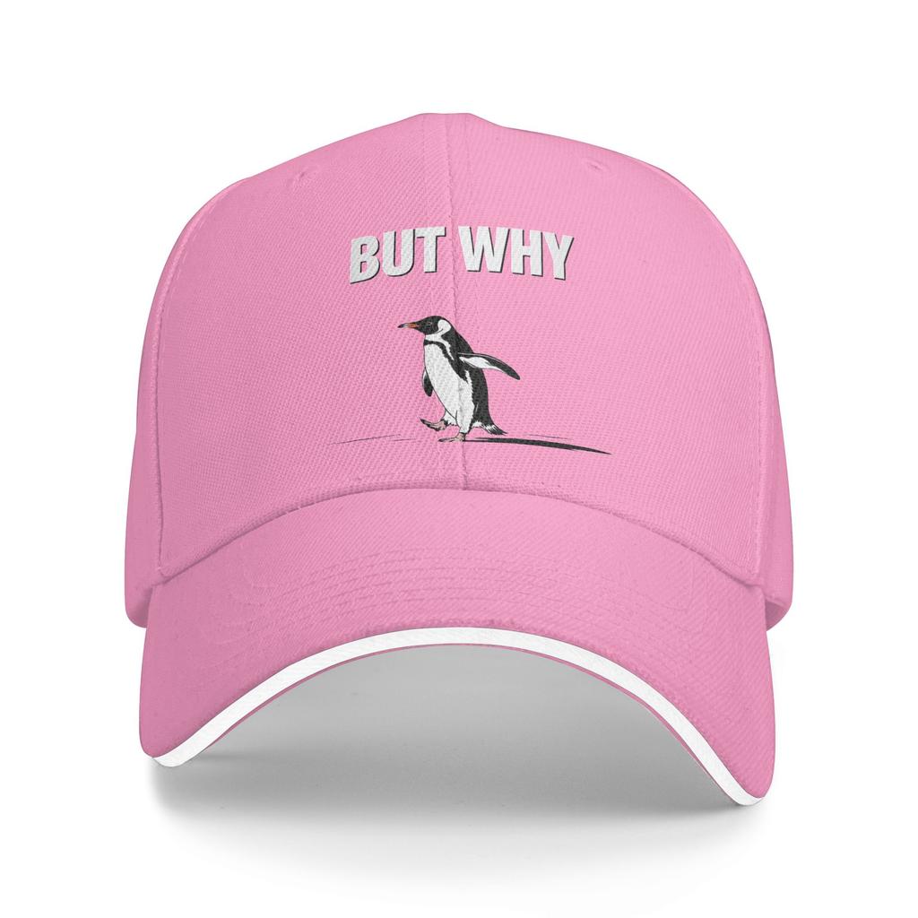 Vintage Nihilist Penguin But Why Baseball Cap  Men Women Print Hip Hop Hats Summer Tennis Skate Dropshipping Baseball Caps