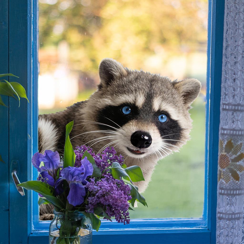 Cartoon Animal Sheep Raccoon Window Sticker Self Adhesive Double Sided Visible Home Decor For Living Room Bedroom