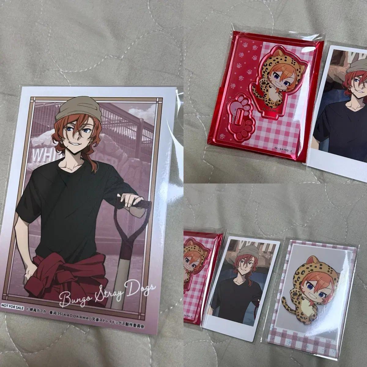 

Собака Луны Чуя Зоопарк Животное SD Акриловая Подставка Паша Почтовая открытка