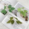 Direct Sales Simulated Leaf Silk Screen Printing Rose One-Piece Six-Leaf Green Plant Accessories Bundle Wall Decoration