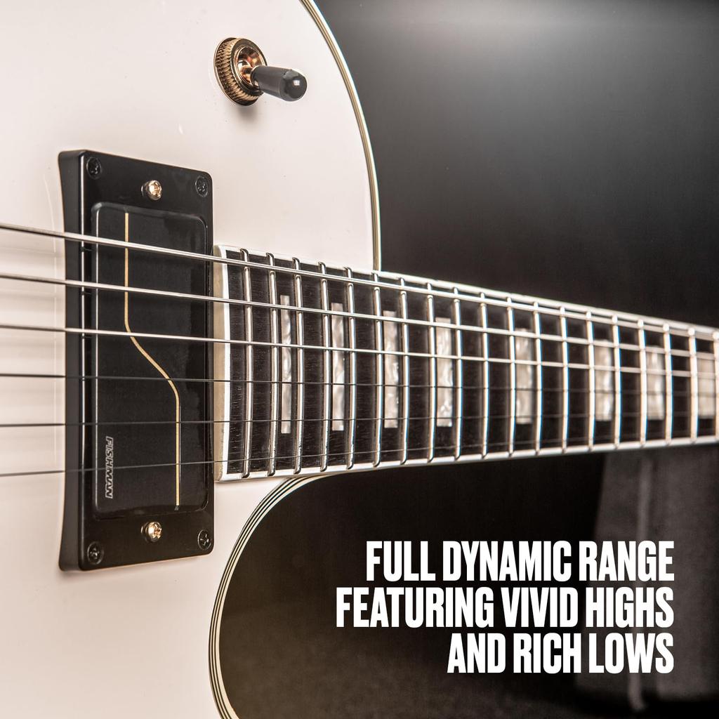Jim Dunlop Trivium String Lab Series Guitar Trivium Signature Electric Guitar TVMN10637 Strings, 7-String Strings,