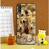 Golden Retriever Dog For Huawei Nova Y61 Y60 Y70 Y72 Y73 Y90 Y91 12i 11i 3i 7i 8i 9 10 SE P20 P40 P30 Lite Case