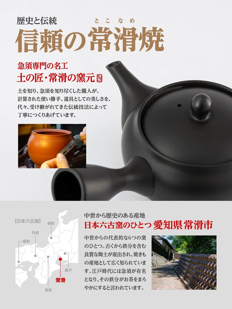 Japanese Teapot Steel Strainer for Clogging and Spreading Tea 300 Ml Cc Includes Instructions and Video On How To Brew Delicious Tea Tokoname-yaki