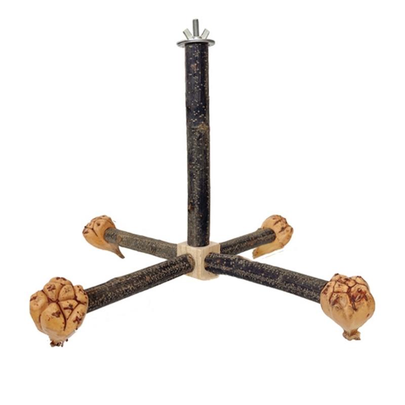 Bird Perch Nature Molar Stand for Parrots Conure Supplies Budgies Grinding Scratchers for Small Medium Parrots Toy