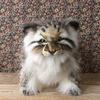 [HANSA Manul Cat 30 Plush Toy] Cat Cat Stuffed Toy Realistic Looks Like the Real Pet