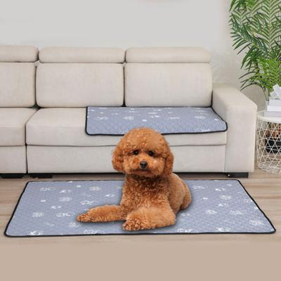 Productos para mascotas – Alfombras para mascotas