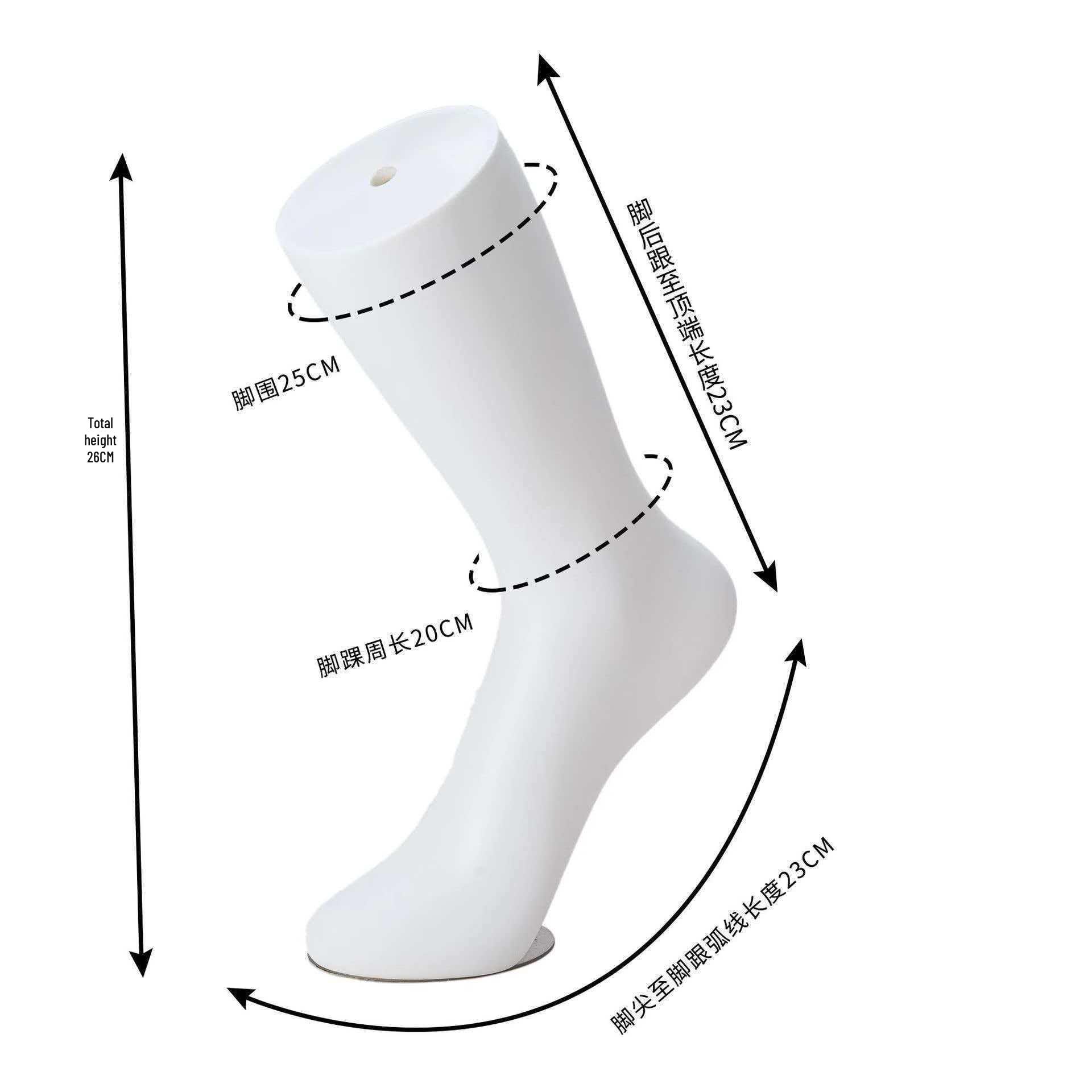 

Magnetic Seamless Plastic Foot Mold for Men and Women - Ideal for Cotton Socks, Silk Stockings, Photography Props, and Sock Store Displays.