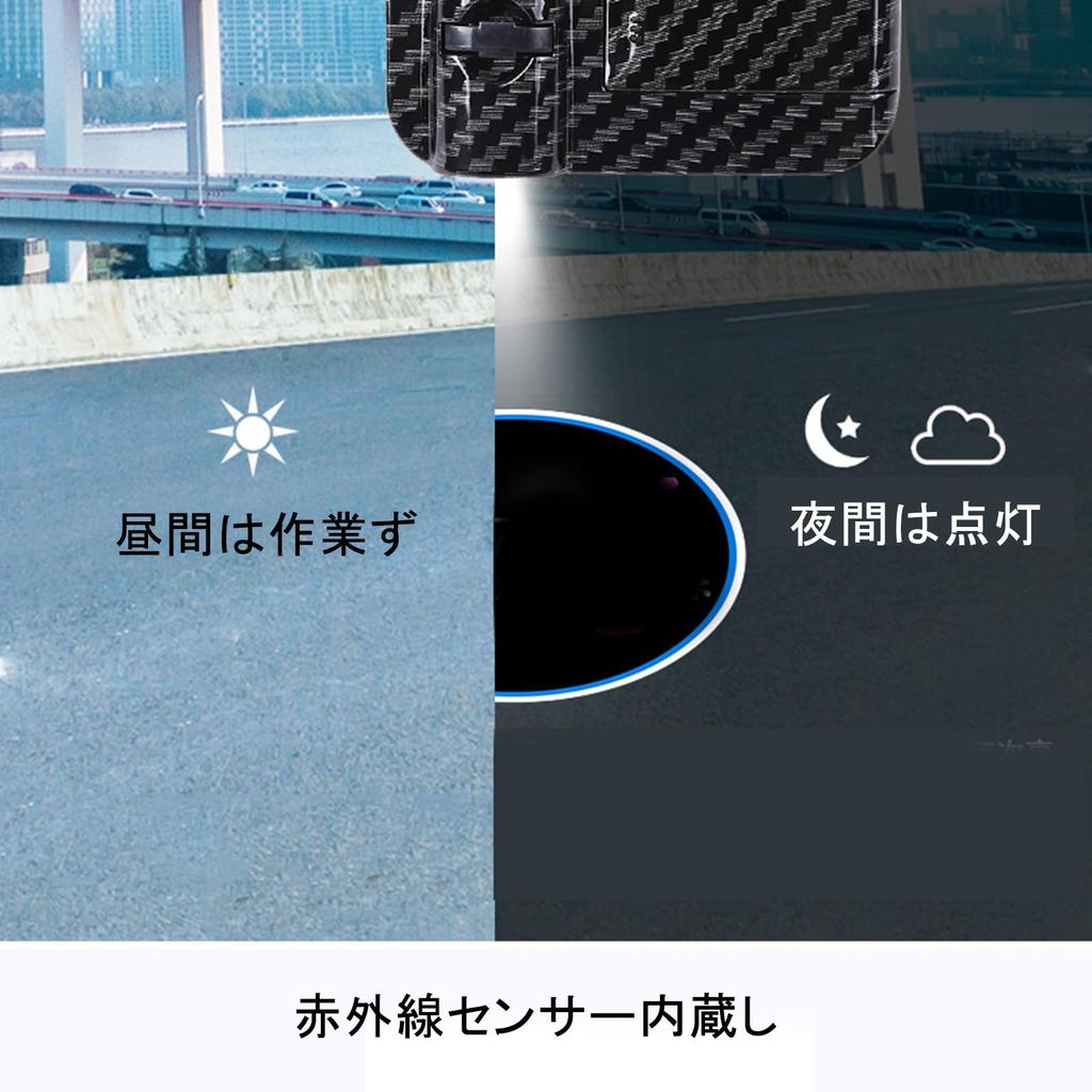 Car Curtain Lamp, Courtesy Light, Set of 2, No Construction Required, LED Logo Projection,