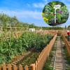 50pcs Heavy-Duty Waterproof Garden Plant Labels T-Shaped with Writing Surface for Herbs Vegetables Flowers Indoor/Outdoor Garden