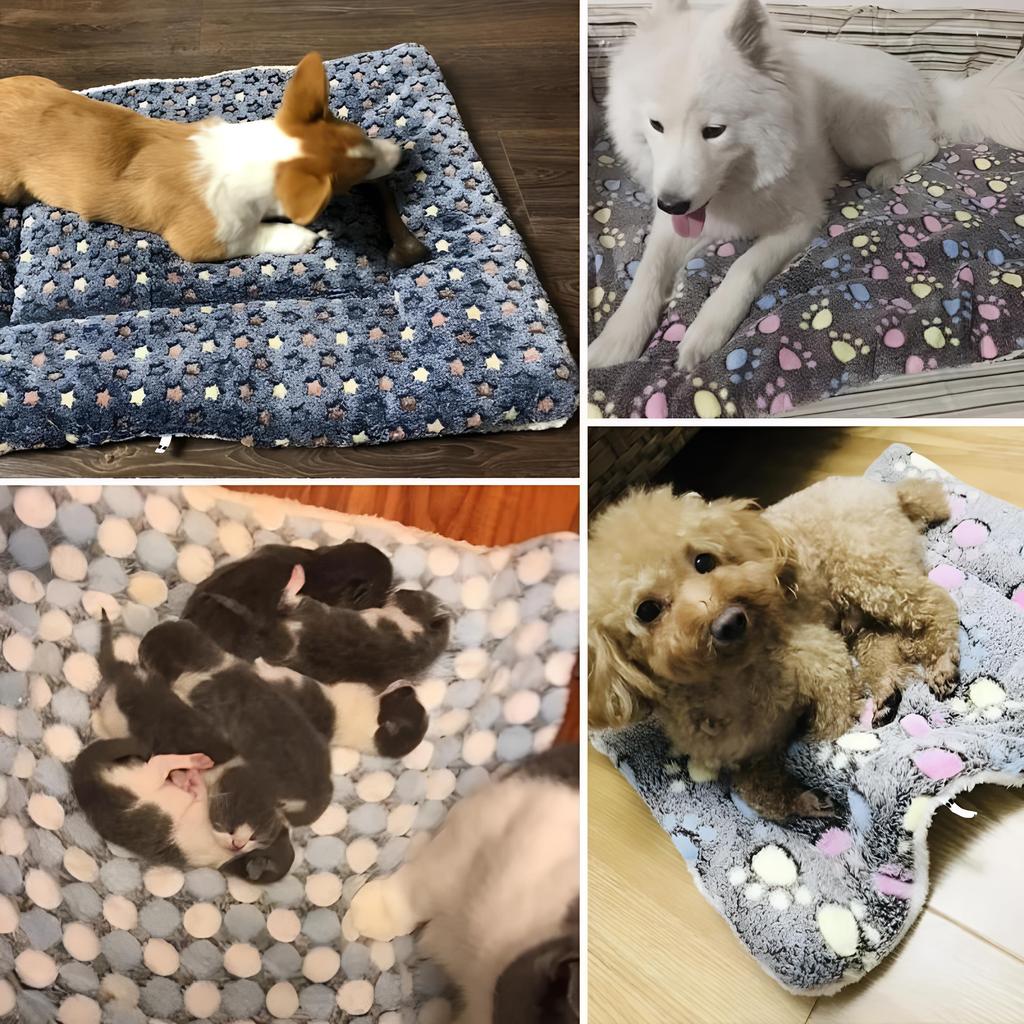 Pet Sleeping Mat Dog Bed Cat Bed Soft Hair Thickened Blanket Pad Home Washable Warm Bear Pattern Blanket Pet Supplies