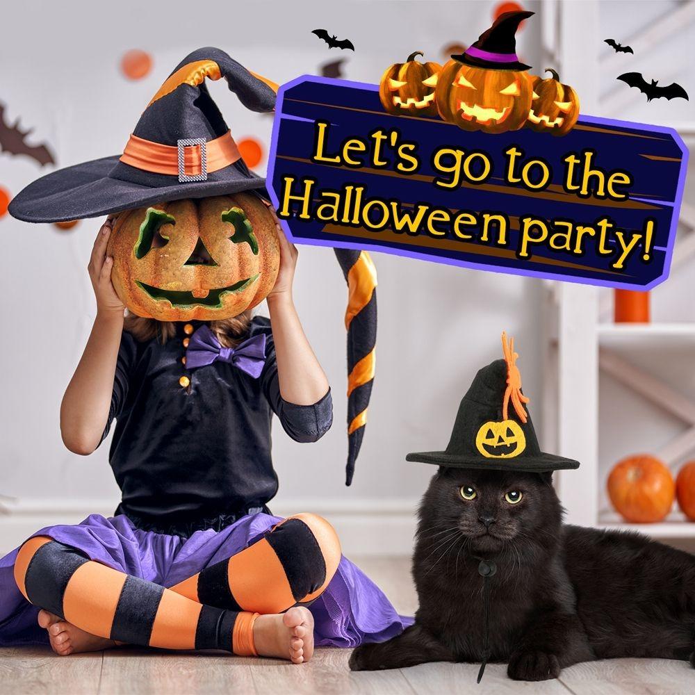 Kawaii Pumpkin Halloween Cat Costume Adjustable Spider Cat Collar Hat Set Cosplay Props Scarf Pet Halloween Supplies Small Dog