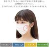 IRIS OHYAMA Disposable Nonwoven 120 Count Masks, Regular,