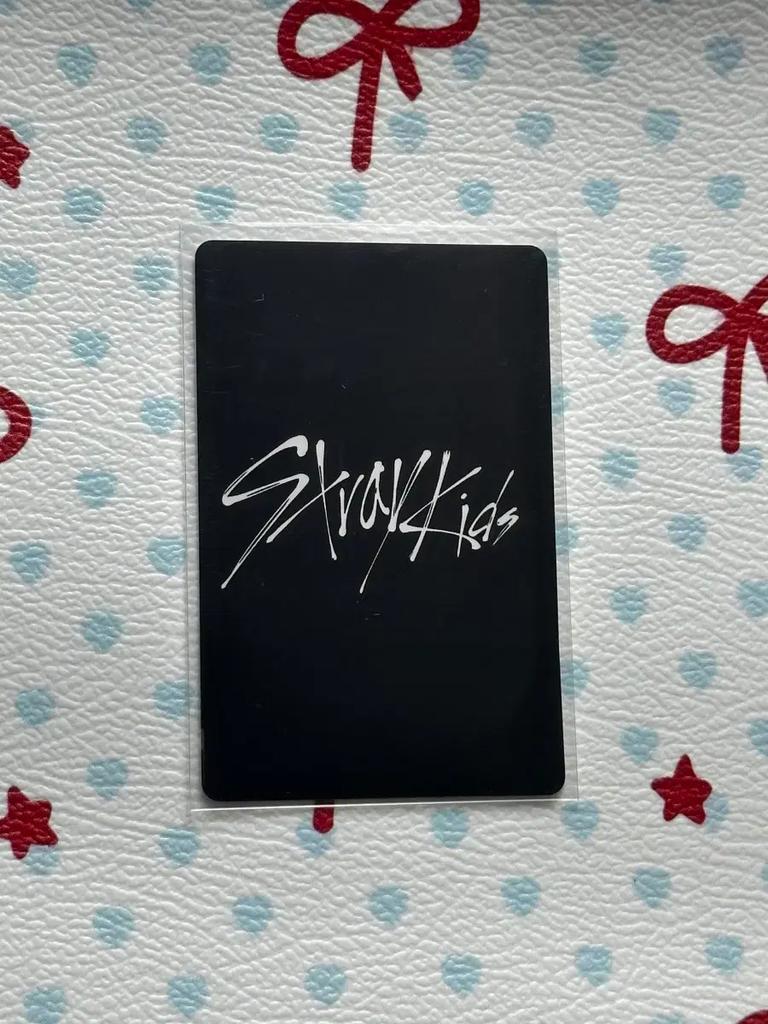 STRAY KIDS Stray Kids Workshop Poka Seungmin Used