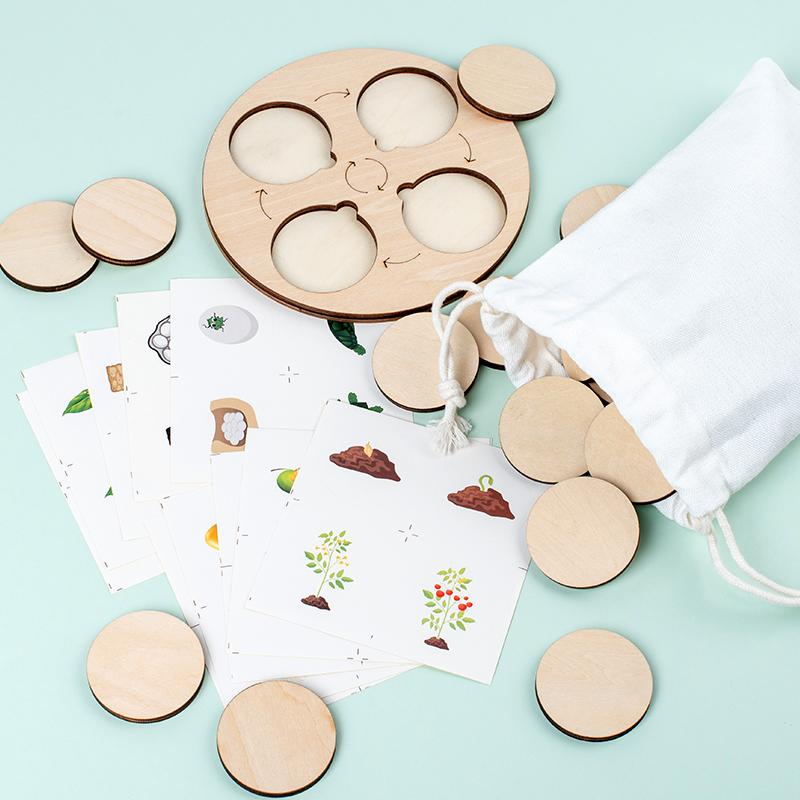 Life Cycle Board Montessori Kit Biology Science Education For Kids Sensory Tray Animal Figure Life Cycle Sorting Christmas Gift