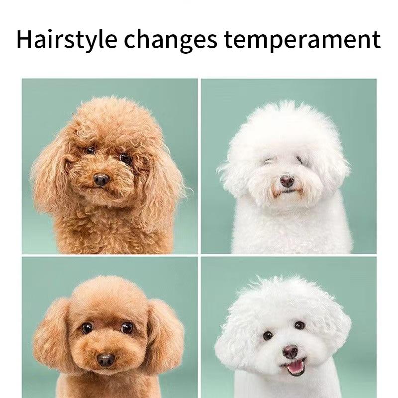 Tierpflegeschere, Hundehaar-Werkzeug-Set, professionelle Trimmschere, gebogene Schere, Teddy-Haarschneideschere, Tierschneidemaschine