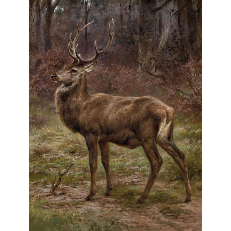 

Винтажный Кантри Фермерский Дом Искусство Пастух Лось Заяц Ягненок Дикая Природа Постер Холст Картины Настенное Искусство Картинки Домашний Декор 21cm×30cm NoFrame