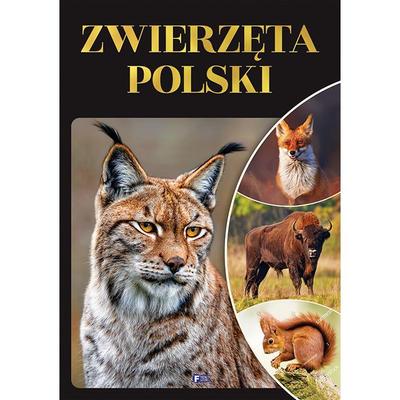 Literatura científica popular – Arte