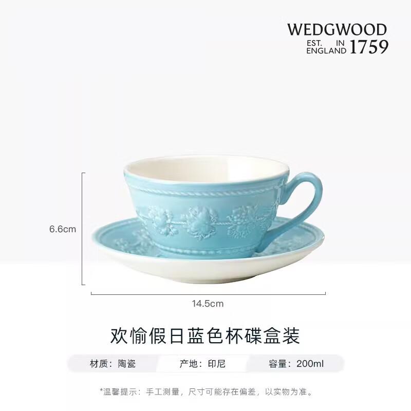 Wedgwood Joyful Holiday Blue Teacup and Saucer Set