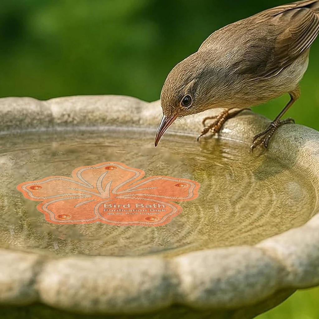 Copper Bird Bath Disk Floral Purification Panel Copper Disk Bird Bath Insert for Homeowners Gardeners Outdoor Enthusiasts