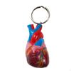 Structural Heart Keychain Anatomically Correct Human Miniature Medical Keyring