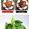 Multifunctional Desktop Shooting Stand with Fill Light for Food Photography & Live Broadcasts
