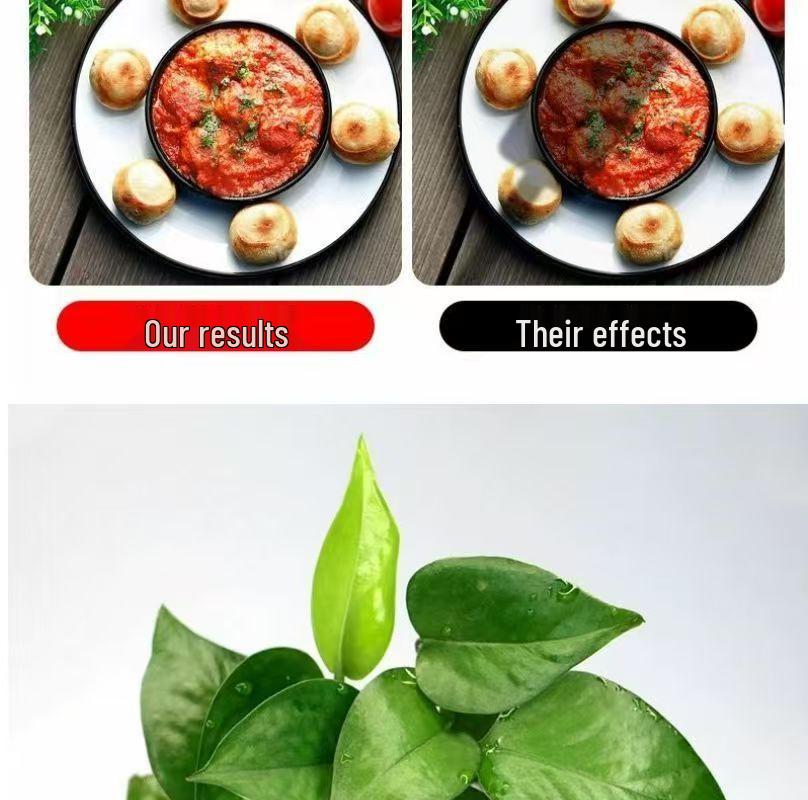 Multifunctional Desktop Shooting Stand with Fill Light for Food Photography & Live Broadcasts