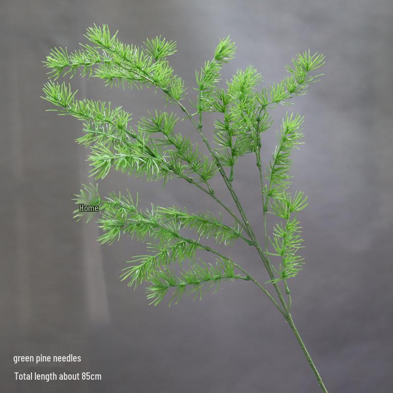 Asparagus Fern & Willow Buds Greenery for Wedding Decor & Landscaping