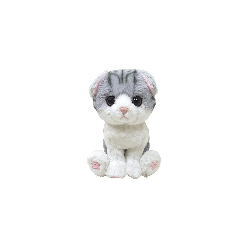 Sun Lemon Kitten Scottish Fold Plush Toy Gray 17.5x8.2x18.6cm Animal Stuffed Cat P-4212