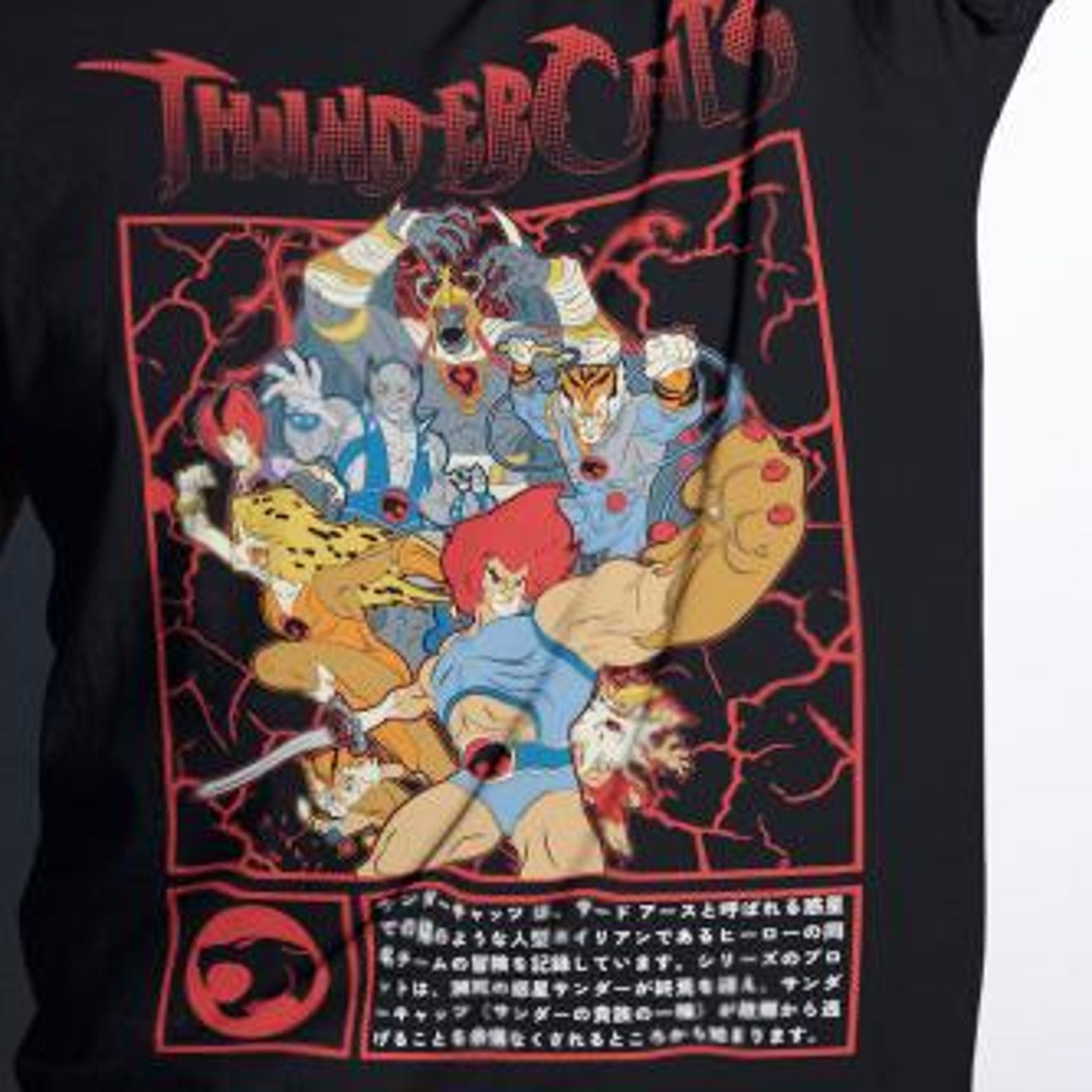 Anime Manga Tee, ThunderCats Graphic Shirt, Japan Anime Gift, Unisex Heavy Cotton Tee, Manga Shirt S