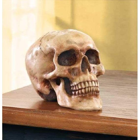 Grinning Highly Realistic Replica Human Skull Statue Home Décor 6.5x4.25x4.6
