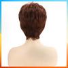 2025 Fashion Short Straight Wig For Women HW2358