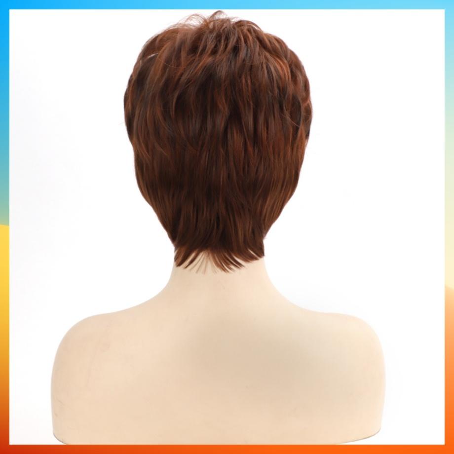 2025 Fashion Short Straight Wig For Women HW2358