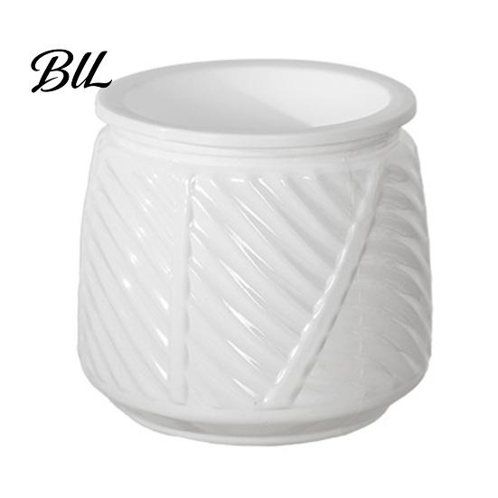 Decorative Container for Plants Self Watering Planter with Wick Rope Indoor Plants, Double Layer Easy Care Plant Pot Transparent Hydroponic