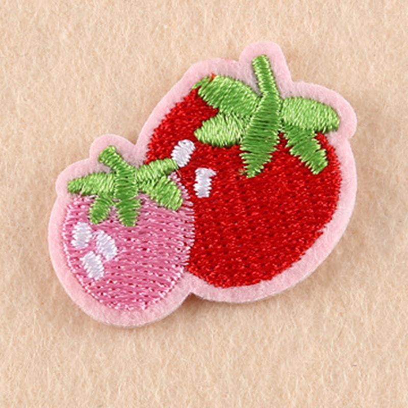 Fine embroidery cloth paste fruit flowers small patch