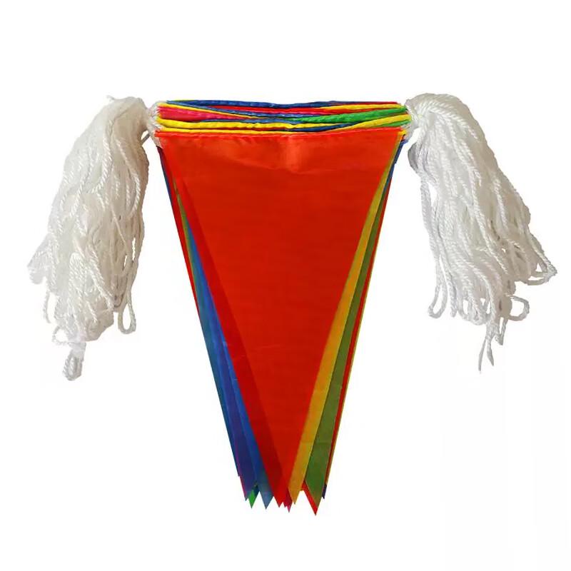 Colorful Triangle Pennant Flag Banner